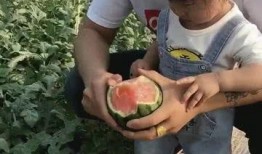 小宝吃瓜视频,揭秘娱乐圈幕后故事