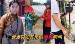 吃瓜盘点爆笑的视频