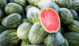 中国石油吃瓜视频下载,热门内容背后的下载攻略