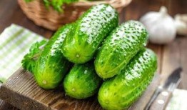 腌骚瓜怎么吃才好吃呢视频,家常风味轻松享