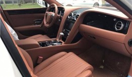 迈巴赫吃瓜视频,一场奢华与幽默的跨界盛宴