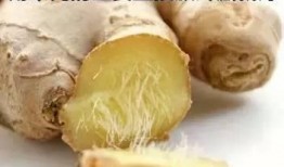 虎耳瓜要去皮吃吗视频,轻松解锁美味秘诀