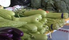 吃瓜不甜的瓜子视频,短视频背后的故事