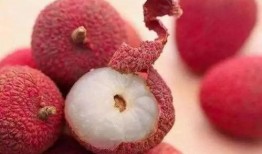 荔枝吃瓜视频大全,趣味横生的欢乐时光回顾