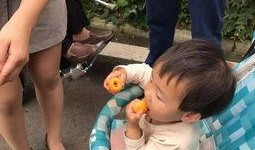 一个吃瓜游客的故事视频,一位游客的神秘吃瓜之旅揭秘