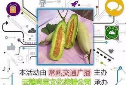 俄罗斯吃羊角瓜视频播放