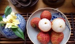 荔枝吃瓜视频大全,趣味横生的欢乐时光回顾