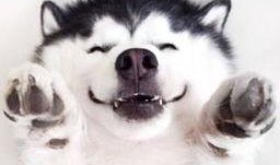 吃瓜现场素材视频,吃瓜群众围观大事件，精彩瞬间一网打尽