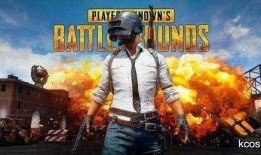 火瓜哥吃鸡视频大全集下载,精彩瞬间一网打尽