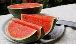 郑州工商吃瓜视频,一场意外引发的全民围观