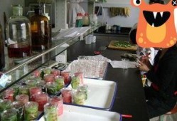 桂平奶茶店吃瓜事件视频,一瓜引发的网络风波揭秘