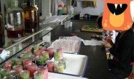 桂平奶茶店吃瓜事件视频,一瓜引发的网络风波揭秘