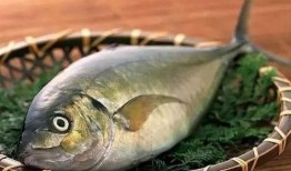 淡水瓜鱼敢吃吗视频,敢吃吗？视频带你探索神秘水生生物