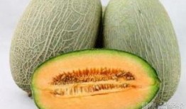 吃沙地哈密瓜视频,揭秘沙地哈密瓜的独特魅力