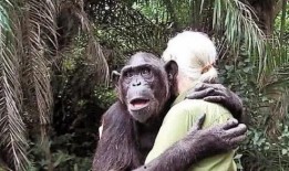 吃瓜变猩猩的视频大全集