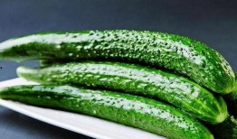 新疆小网红吃瓜视频下载,揭秘瓜界新宠儿的魅力瞬间