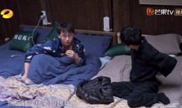 女子吃瓜被撞视频大全,视频大全揭示惊险一幕