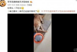 吃瓜博主范丞丞视频,范丞丞吃瓜视频揭秘娱乐圈幕后真相