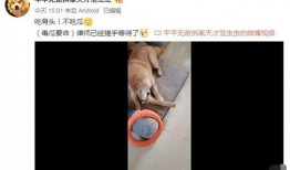 吃瓜博主范丞丞视频,范丞丞吃瓜视频揭秘娱乐圈幕后真相