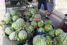 龙井骑行吃瓜事件视频,一场网络热议的骑行奇遇记