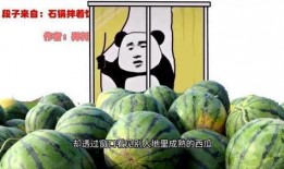 表哥吃瓜视频