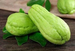 大弟吃金佛手瓜视频,趣味横生美食体验