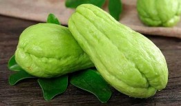 大弟吃金佛手瓜视频,趣味横生美食体验