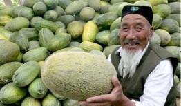 街头挑战吃哈密瓜视频下载,网友直呼过瘾！