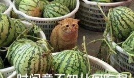 带视频的吃瓜网,带你一探究竟的幕后故事