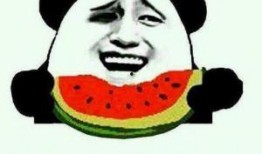 吃瓜群众摸头视频,揭秘网络热传视频背后的故事