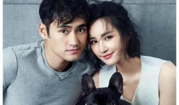 明星吃瓜爆红视频,揭秘娱乐圈幕后趣闻