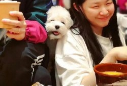 吃瓜视频情侣头像,揭秘吃瓜视频情侣头像背后的浪漫故事