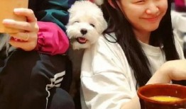 吃瓜视频情侣头像,揭秘吃瓜视频情侣头像背后的浪漫故事