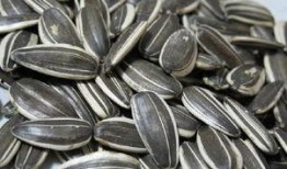 大瓜视频吃瓜子,解锁吃瓜新姿势，一起畅享瓜子盛宴