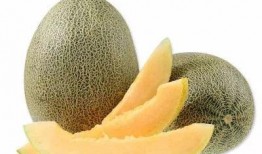 吃哈密瓜唱歌视频大全集,视频大全集带你领略甜蜜与欢乐