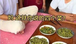 吃瓜三宝妈和菜宝子视频,趣味互动，揭秘育儿生活点滴