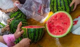 24年最新吃瓜视频,盘点那些让人瞠目结舌的瓜界风云