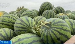 吃瓜网看视频要钱吗,付费还是免费？揭秘真相