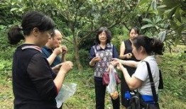 一个吃瓜游客的故事视频,一位游客的神秘吃瓜之旅揭秘