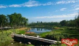 天府公园吃瓜视频大全,吃瓜视频大全带你领略夏日风情