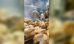 野外小哥哥吃瓜视频大全,趣味横生视频大盘点