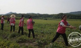 抚州吃瓜群众事件视频,一场网络舆论的风暴与反思