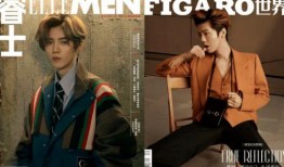 鹿晗今日吃瓜视频大全集,揭秘明星幕后趣事