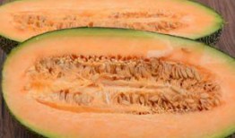 吃哈密瓜视频室内,甜蜜滋味尽享其中