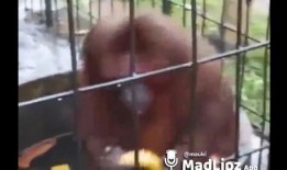 楼下吵架吃瓜配音视频大全,吃瓜群众配音视频大盘点