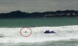 美爷翻船吃瓜视频大全集,视频全集深度解析